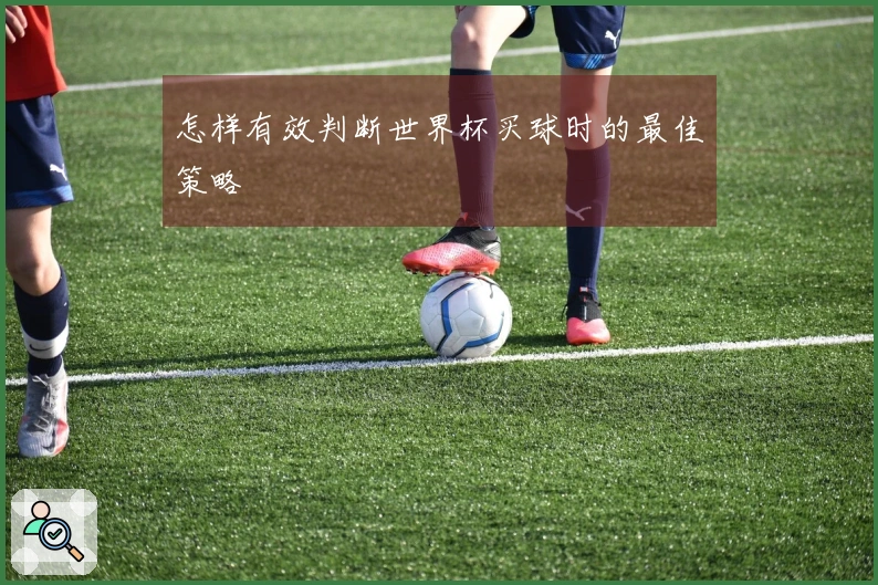 怎样有效判断世界杯买球时的最佳策略