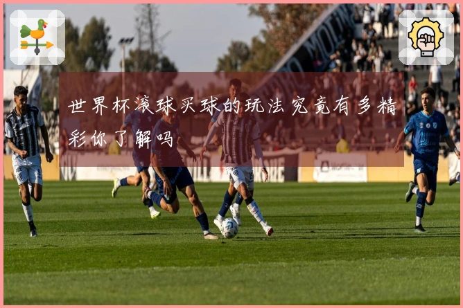 世界杯滚球买球的玩法究竟有多精彩你了解吗