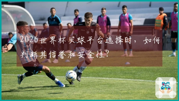 2026世界杯买球平台选择时，如何判断其信誉和安全性？
