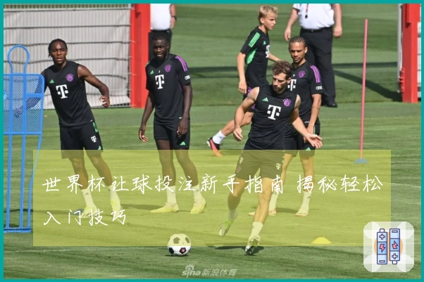 世界杯让球投注新手指南 揭秘轻松入门技巧