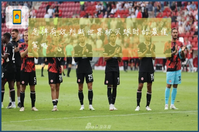 怎样有效判断世界杯买球时的最佳策略